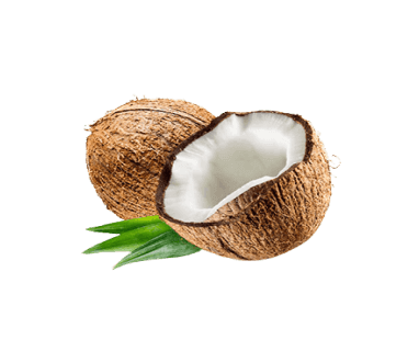 Coconut
