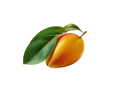 Fresh mango