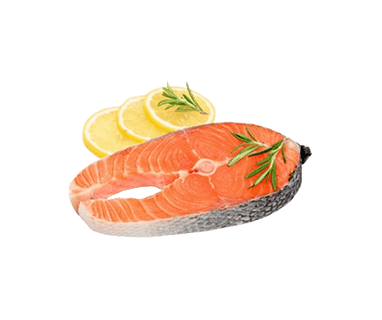 Fresh salmon fillet